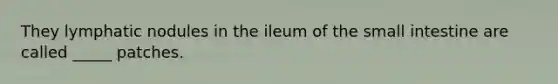 They lymphatic nodules in the ileum of the small intestine are called _____ patches.