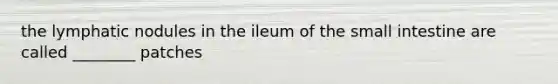 the lymphatic nodules in the ileum of the small intestine are called ________ patches