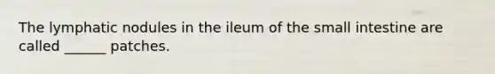The lymphatic nodules in the ileum of <a href='https://www.questionai.com/knowledge/kt623fh5xn-the-small-intestine' class='anchor-knowledge'>the small intestine</a> are called ______ patches.