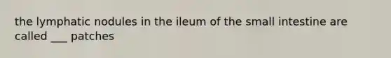 the lymphatic nodules in the ileum of the small intestine are called ___ patches