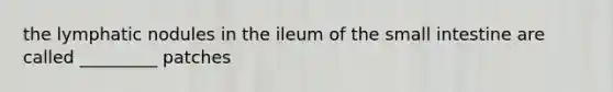 the lymphatic nodules in the ileum of <a href='https://www.questionai.com/knowledge/kt623fh5xn-the-small-intestine' class='anchor-knowledge'>the small intestine</a> are called _________ patches