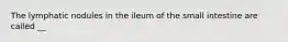 The lymphatic nodules in the ileum of the small intestine are called __