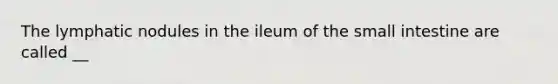 The lymphatic nodules in the ileum of the small intestine are called __