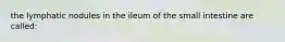 the lymphatic nodules in the ileum of the small intestine are called: