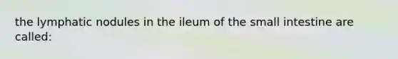 the lymphatic nodules in the ileum of the small intestine are called: