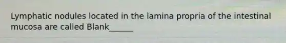 Lymphatic nodules located in the lamina propria of the intestinal mucosa are called Blank______
