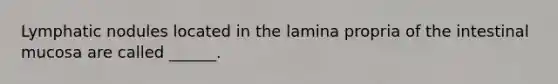 Lymphatic nodules located in the lamina propria of the intestinal mucosa are called ______.
