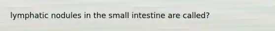 lymphatic nodules in the small intestine are called?