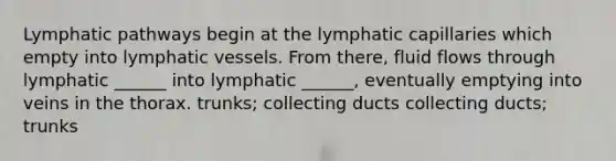 Lymphatic pathways begin at the lymphatic capillaries which empty into <a href='https://www.questionai.com/knowledge/ki6sUebkzn-lymphatic-vessels' class='anchor-knowledge'>lymphatic vessels</a>. From there, fluid flows through lymphatic ______ into lymphatic ______, eventually emptying into veins in the thorax. trunks; collecting ducts collecting ducts; trunks