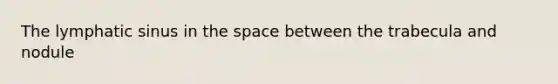The lymphatic sinus in the space between the trabecula and nodule