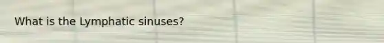 What is the Lymphatic sinuses?