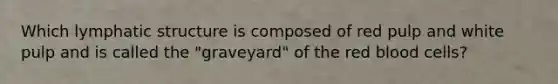Which lymphatic structure is composed of red pulp and white pulp and is called the "graveyard" of the red blood cells?