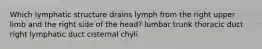 Which lymphatic structure drains lymph from the right upper limb and the right side of the head? lumbar trunk thoracic duct right lymphatic duct cisternal chyli