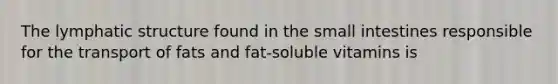 The lymphatic structure found in the small intestines responsible for the transport of fats and fat-soluble vitamins is