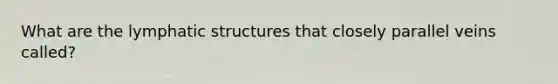 What are the lymphatic structures that closely parallel veins called?