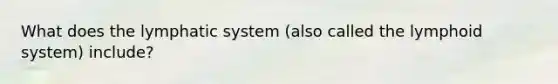 What does the lymphatic system (also called the lymphoid system) include?