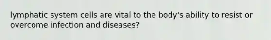 lymphatic system cells are vital to the body's ability to resist or overcome infection and diseases?