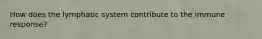 How does the lymphatic system contribute to the immune response?