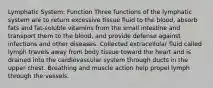 Lymphatic System: Function Three functions of the lymphatic system are to return excessive tissue fluid to the blood, absorb fats and fat-soluble vitamins from the small intestine and transport them to the blood, and provide defense against infections and other diseases. Collected extracellular fluid called lymph travels away from body tissue toward the heart and is drained into the cardiovascular system through ducts in the upper chest. Breathing and muscle action help propel lymph through the vessels.