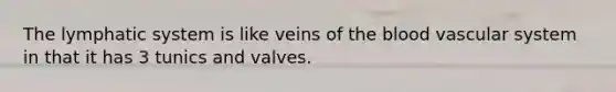 The lymphatic system is like veins of <a href='https://www.questionai.com/knowledge/k7oXMfj7lk-the-blood' class='anchor-knowledge'>the blood</a> vascular system in that it has 3 tunics and valves.