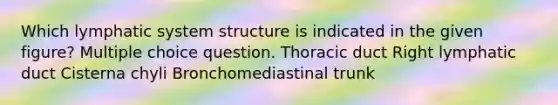 Which lymphatic system structure is indicated in the given figure? Multiple choice question. Thoracic duct Right lymphatic duct Cisterna chyli Bronchomediastinal trunk