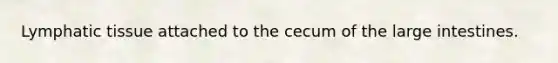 Lymphatic tissue attached to the cecum of the large intestines.