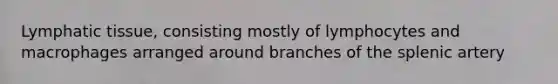 Lymphatic tissue, consisting mostly of lymphocytes and macrophages arranged around branches of the splenic artery