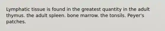 Lymphatic tissue is found in the greatest quantity in the adult thymus. the adult spleen. bone marrow. the tonsils. Peyer's patches.