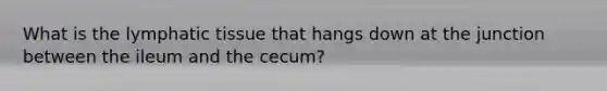 What is the lymphatic tissue that hangs down at the junction between the ileum and the cecum?