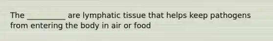 The __________ are lymphatic tissue that helps keep pathogens from entering the body in air or food