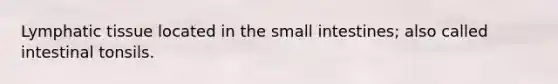 Lymphatic tissue located in the small intestines; also called intestinal tonsils.