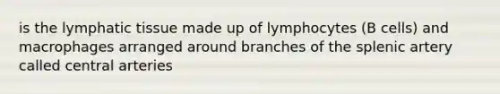 is the lymphatic tissue made up of lymphocytes (B cells) and macrophages arranged around branches of the splenic artery called central arteries