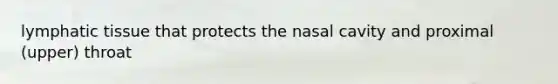 lymphatic tissue that protects the nasal cavity and proximal (upper) throat