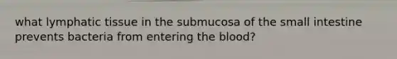 what lymphatic tissue in the submucosa of the small intestine prevents bacteria from entering the blood?