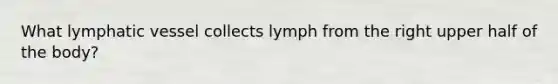 What lymphatic vessel collects lymph from the right upper half of the body?