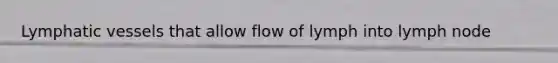 Lymphatic vessels that allow flow of lymph into lymph node