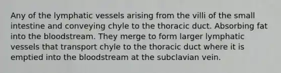 Any of the lymphatic vessels arising from the villi of the small intestine and conveying chyle to the thoracic duct. Absorbing fat into the bloodstream. They merge to form larger lymphatic vessels that transport chyle to the thoracic duct where it is emptied into the bloodstream at the subclavian vein.