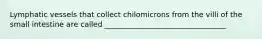 Lymphatic vessels that collect chilomicrons from the villi of the small intestine are called _________________________________