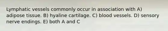 Lymphatic vessels commonly occur in association with A) adipose tissue. B) hyaline cartilage. C) blood vessels. D) sensory nerve endings. E) both A and C