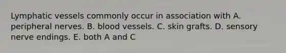 Lymphatic vessels commonly occur in association with A. peripheral nerves. B. blood vessels. C. skin grafts. D. sensory nerve endings. E. both A and C