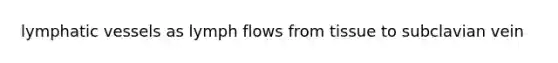 lymphatic vessels as lymph flows from tissue to subclavian vein