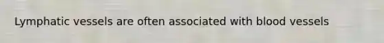Lymphatic vessels are often associated with blood vessels
