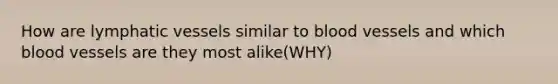 How are lymphatic vessels similar to blood vessels and which blood vessels are they most alike(WHY)