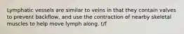 Lymphatic vessels are similar to veins in that they contain valves to prevent backflow, and use the contraction of nearby skeletal muscles to help move lymph along. t/f