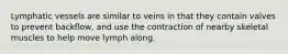 Lymphatic vessels are similar to veins in that they contain valves to prevent backflow, and use the contraction of nearby skeletal muscles to help move lymph along.