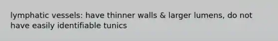 lymphatic vessels: have thinner walls & larger lumens, do not have easily identifiable tunics