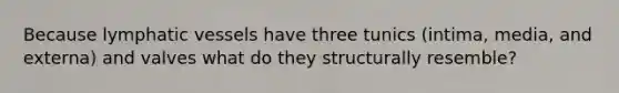 Because <a href='https://www.questionai.com/knowledge/ki6sUebkzn-lymphatic-vessels' class='anchor-knowledge'>lymphatic vessels</a> have three tunics (intima, media, and externa) and valves what do they structurally resemble?
