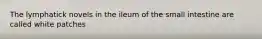 The lymphatick novels in the ileum of the small intestine are called white patches