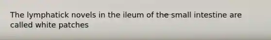 The lymphatick novels in the ileum of the small intestine are called white patches