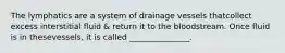 The lymphatics are a system of drainage vessels thatcollect excess interstitial fluid & return it to the bloodstream. Once fluid is in thesevessels, it is called _______________.